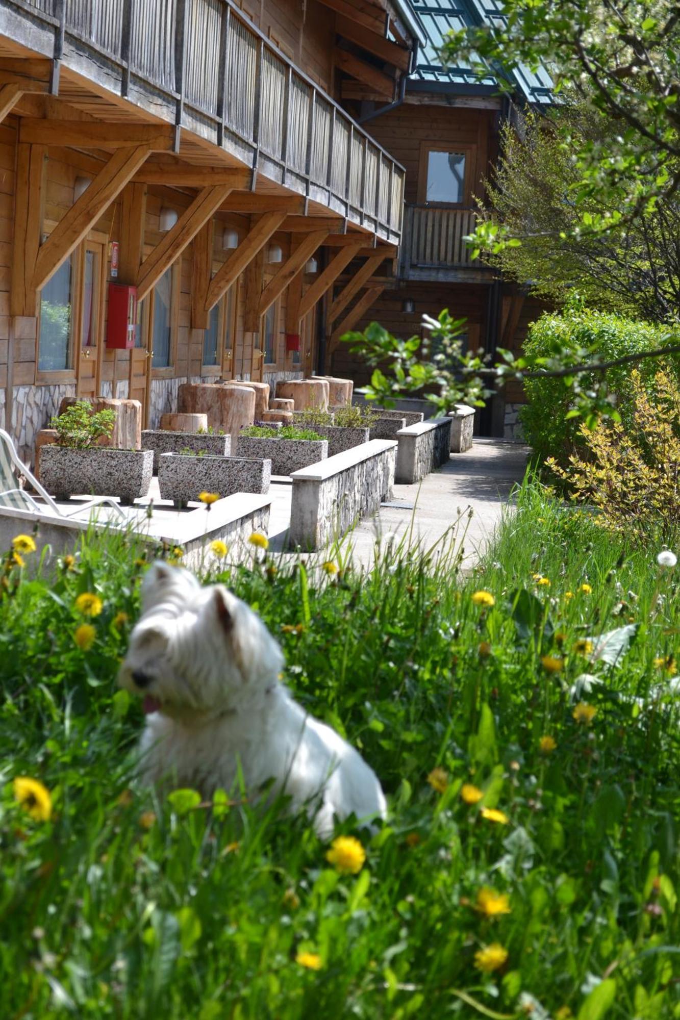Albergo Rendola Asiago Exteriör bild